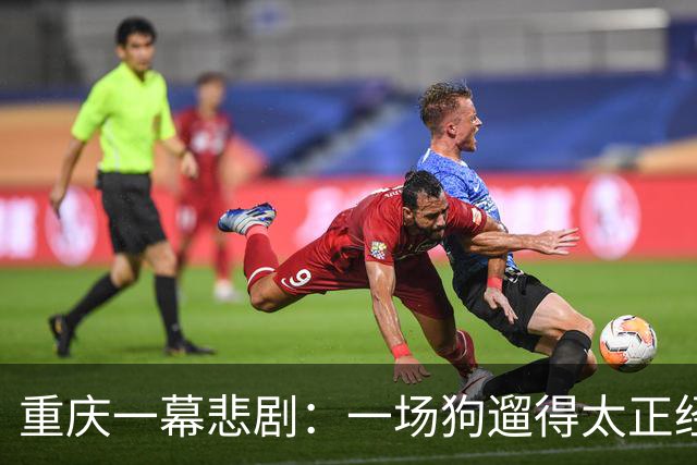 重庆一幕悲剧：一场狗遛得太正经的意外事件